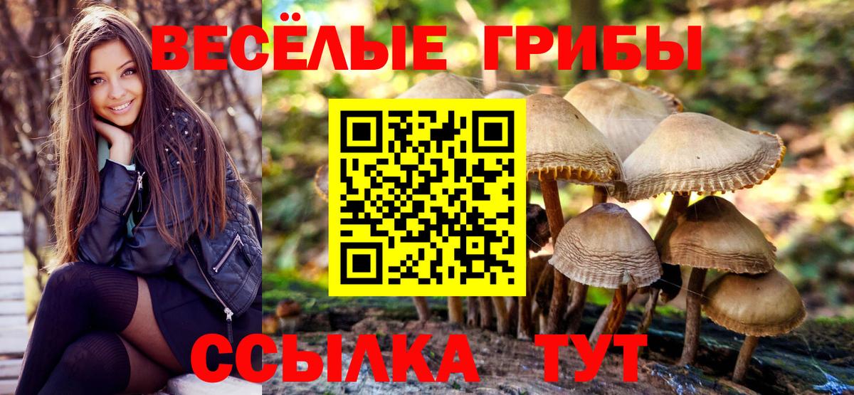 Псилоцибиновые грибы Cubensis  Псилоцибиновые грибы MAGIC MUSHROOMS  Фурманов  Вход с VPN 